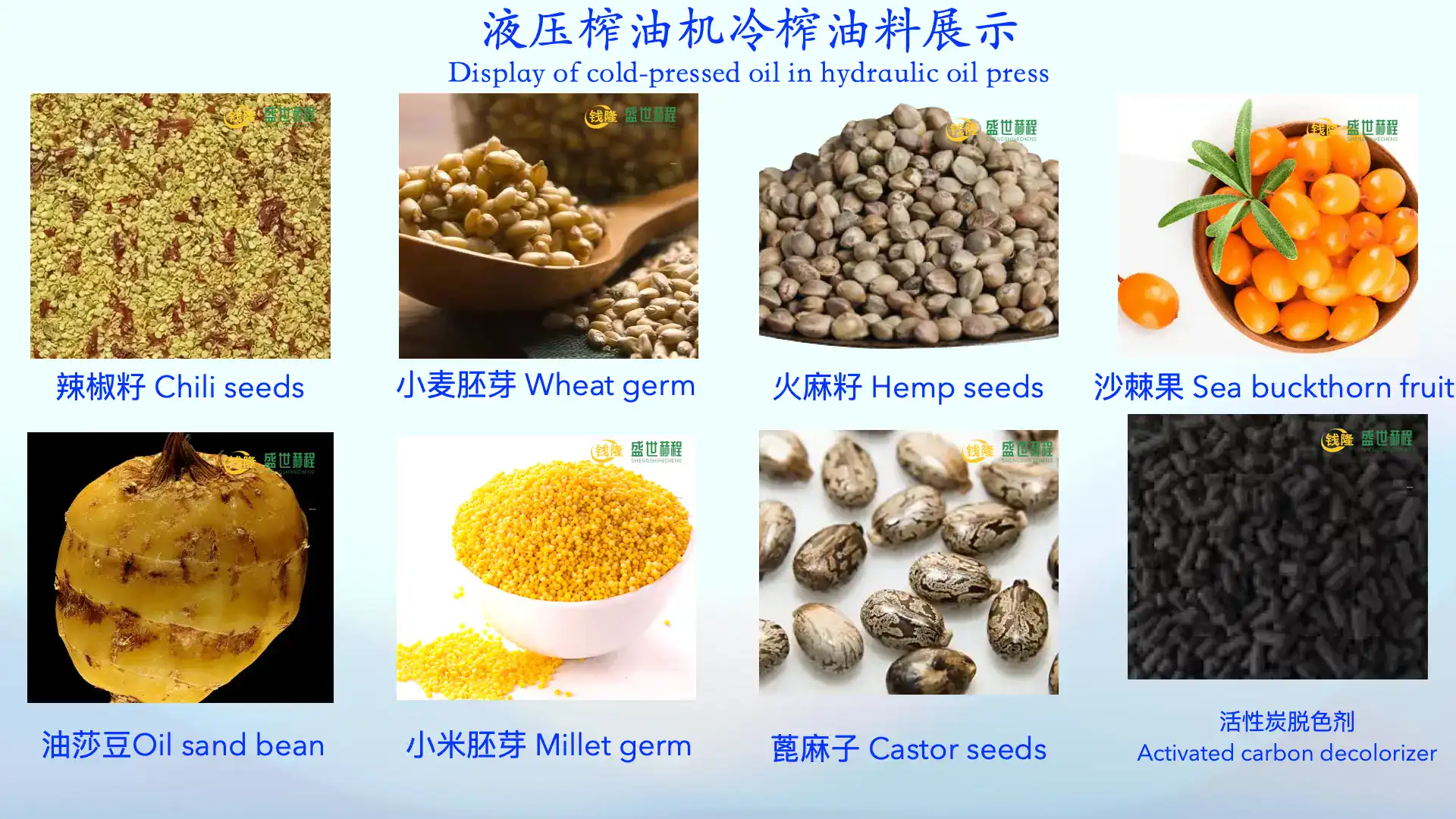hydraulic oil press machine