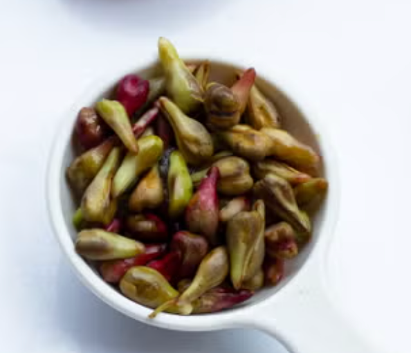 Grape seeds prepared as the raw material for oil extraction