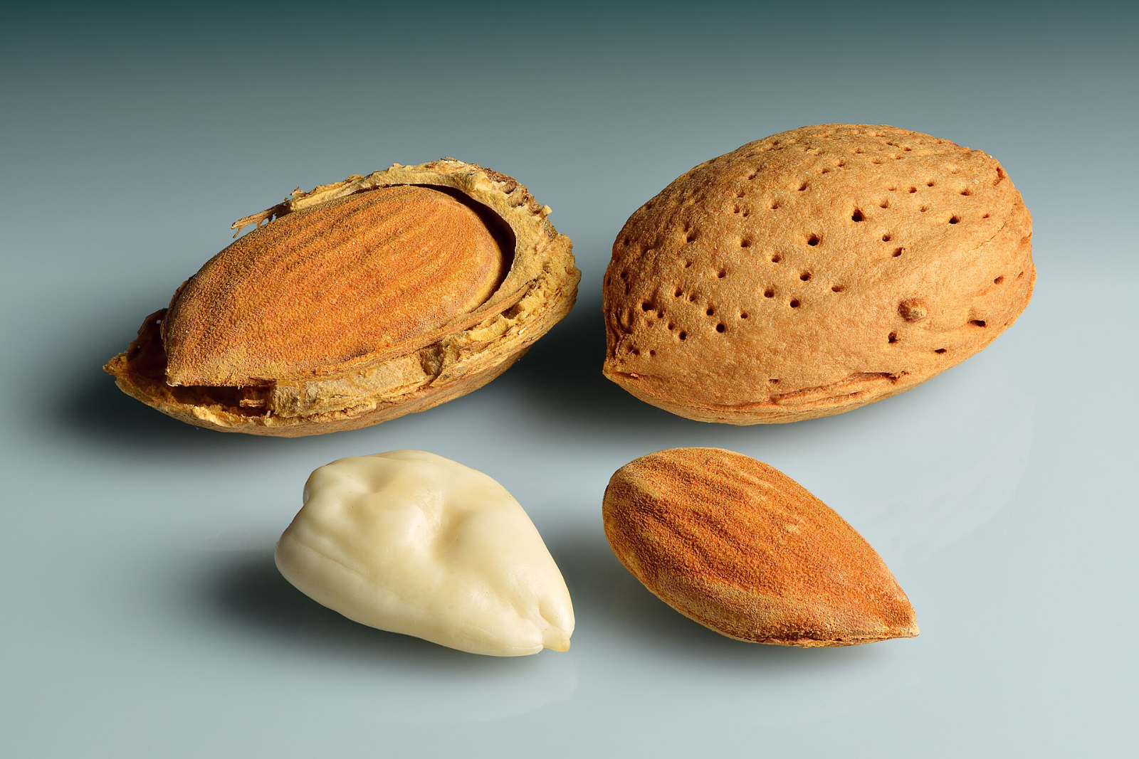 Badam hydraulic oil press for almond oil