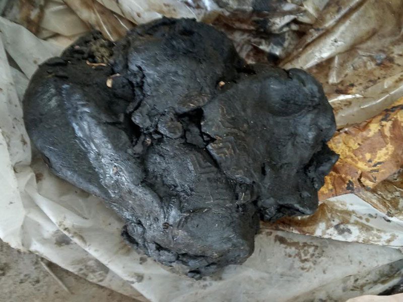 Chemical-oil-sludge-plant-oil-sludge-animal-oil-sludge