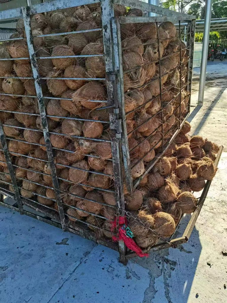 Coconut defluffing equipment