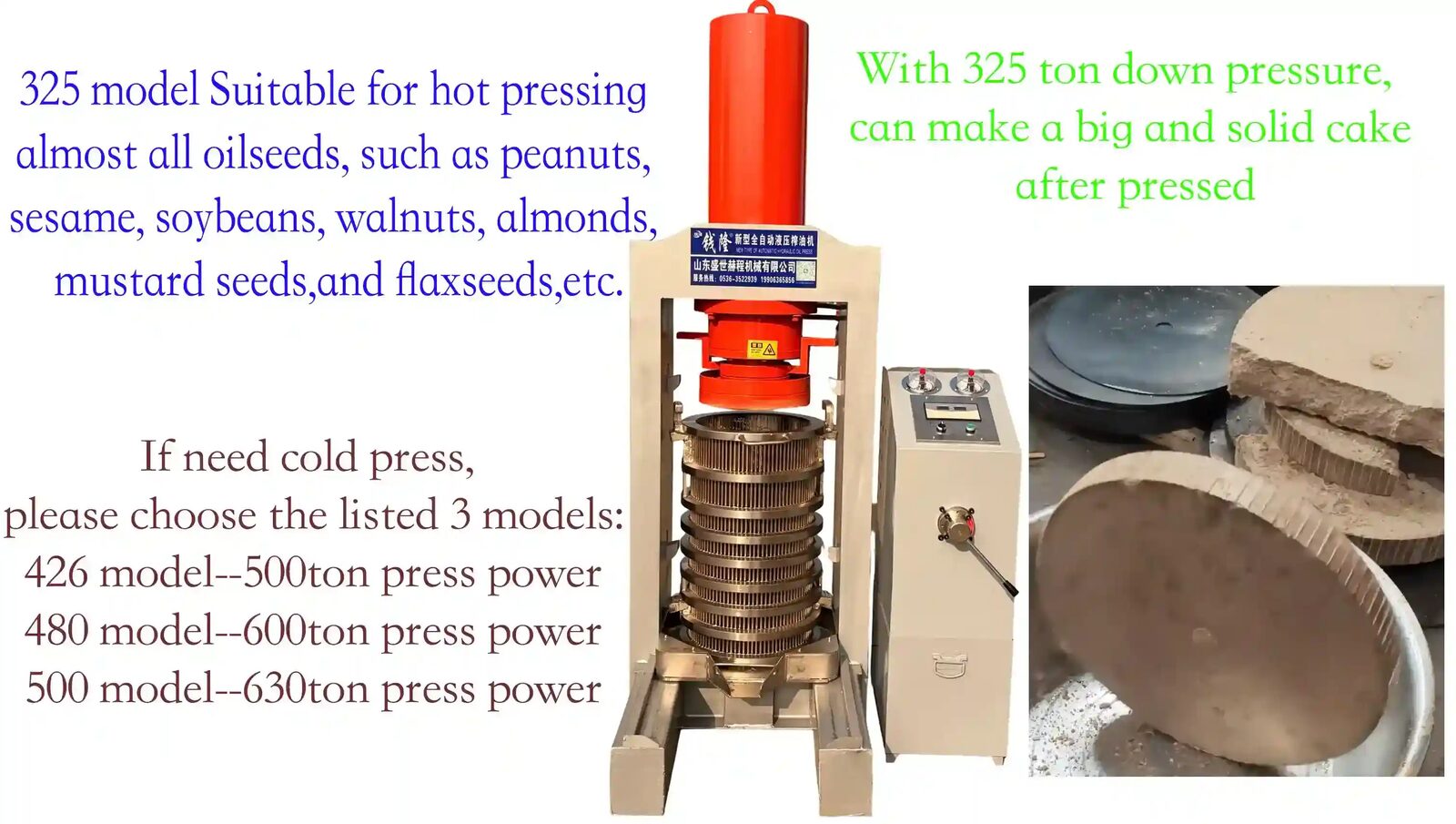 Hydraulic oil press with roaster filter and stainless steel tanks in a complete peanut oil setup