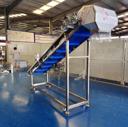 Stainless steel cleated belt elevator for feeding avocado fruit